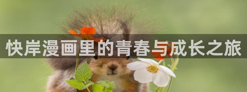韩漫在线观看无删减网站：快岸漫画里的青春与成长之旅