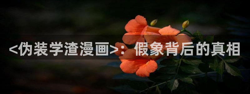 漫画全集免费观看下拉式韩漫画：<伪装学渣漫画>：假象背后的真相