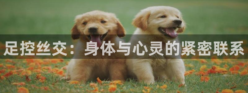 暴夜韩漫漫画：足控丝交：身体与心灵的紧密联系