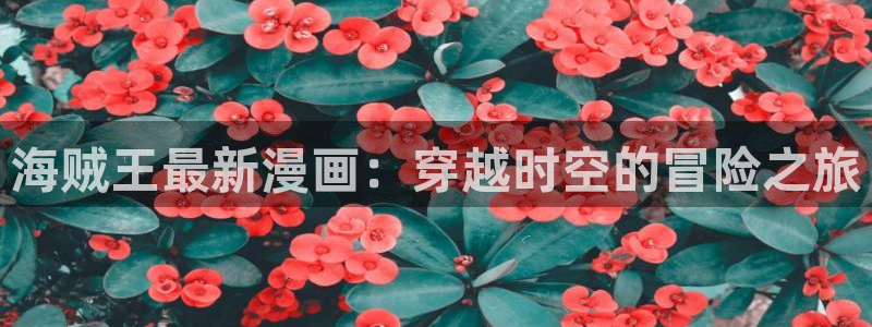 邻家少女漫画韩漫：海贼王最新漫画：穿越时空的冒险之旅