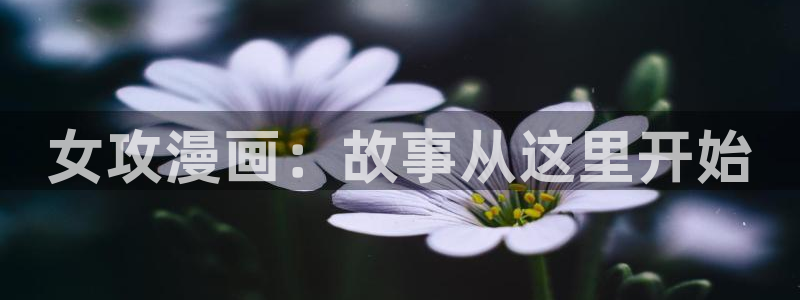 3d韩漫免费漫画在线看：女攻漫画：故事从这里开始