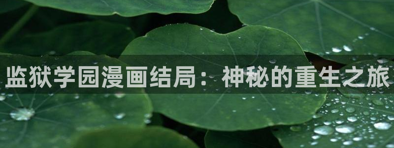 看韩漫的免费漫画app推荐：监狱学园漫画结局：神秘的重生之旅