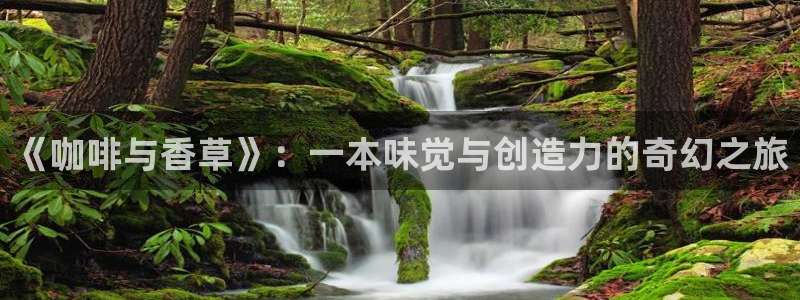 汗汗韩漫：《咖啡与香草》：一本味觉与创造力的奇幻之旅