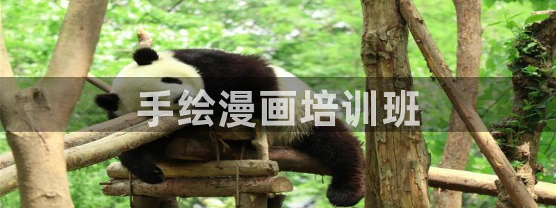 www韩漫：手绘漫画培训班